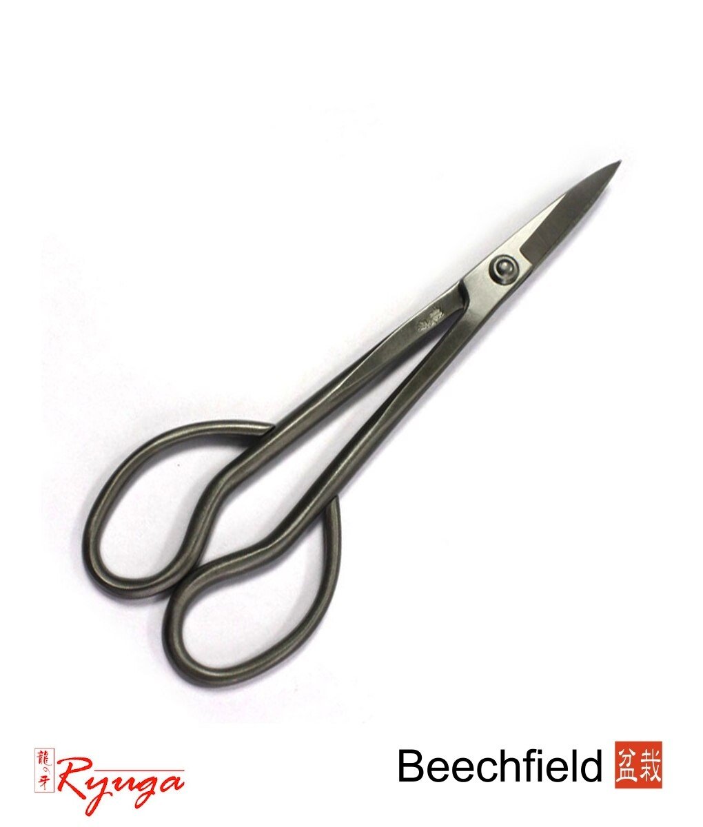 Ryuga Bonsai Bud Scissors 180mm Stainless Steel Beechfield Bonsai