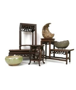 Bonsai Display