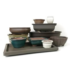 Bonsai Pots