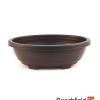 Pastic Oval Bonsai Pot LD-F0006 Beechfield Bonsai