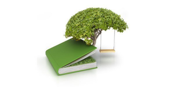 Bonsai Terms Glossary Beechfield Bonsai
