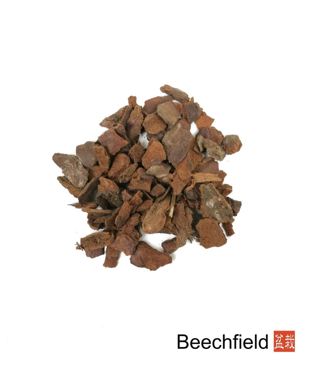 Chopped Bark Bonsai Soil Orchid Cacti Beechfield Bonsai