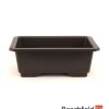 Rectangular Brown Plastic Bonsai Pot Training Beechfield Bonsai