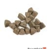 Biogold Original Bonsai Fertiliser 500g Beechfield Bonsai