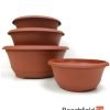 Terracotta Plastic Bonsai Nursery Training Pots Beechfield Bonsai