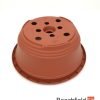 Terracotta Plastic Bonsai Nursery Training Pots Beechfield Bonsai