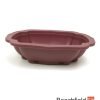 XLP003 Plastic Cloud Shaped Bonsai Training Pot 280mm Beechfield Bonsai