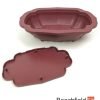 XLP003 Plastic Cloud Shaped Bonsai Training Pot 280mm Beechfield Bonsai