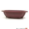 XLP003 Plastic Cloud Shaped Bonsai Training Pot 280mm Beechfield Bonsai