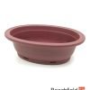 XLP004 Plastic Oval Shaped Bonsai Training Pot 220mm Beechfield Bonsai