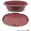 XLP004 Plastic Oval Shaped Bonsai Training Pot 220mm Beechfield Bonsai