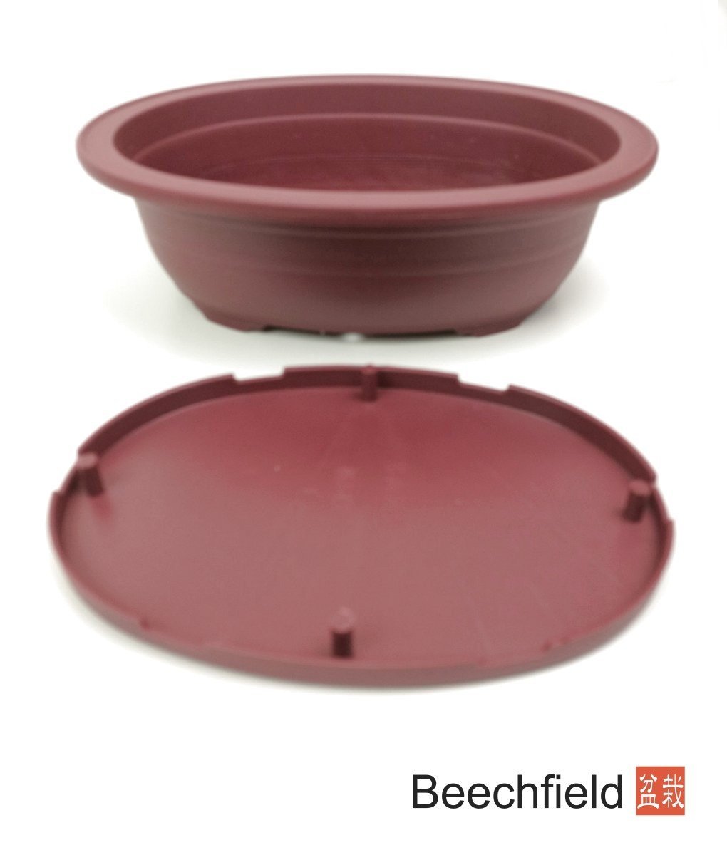 XLP004 Plastic Oval Shaped Bonsai Training Pot 220mm Beechfield Bonsai