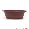 XLP004 Plastic Oval Shaped Bonsai Training Pot 220mm Beechfield Bonsai