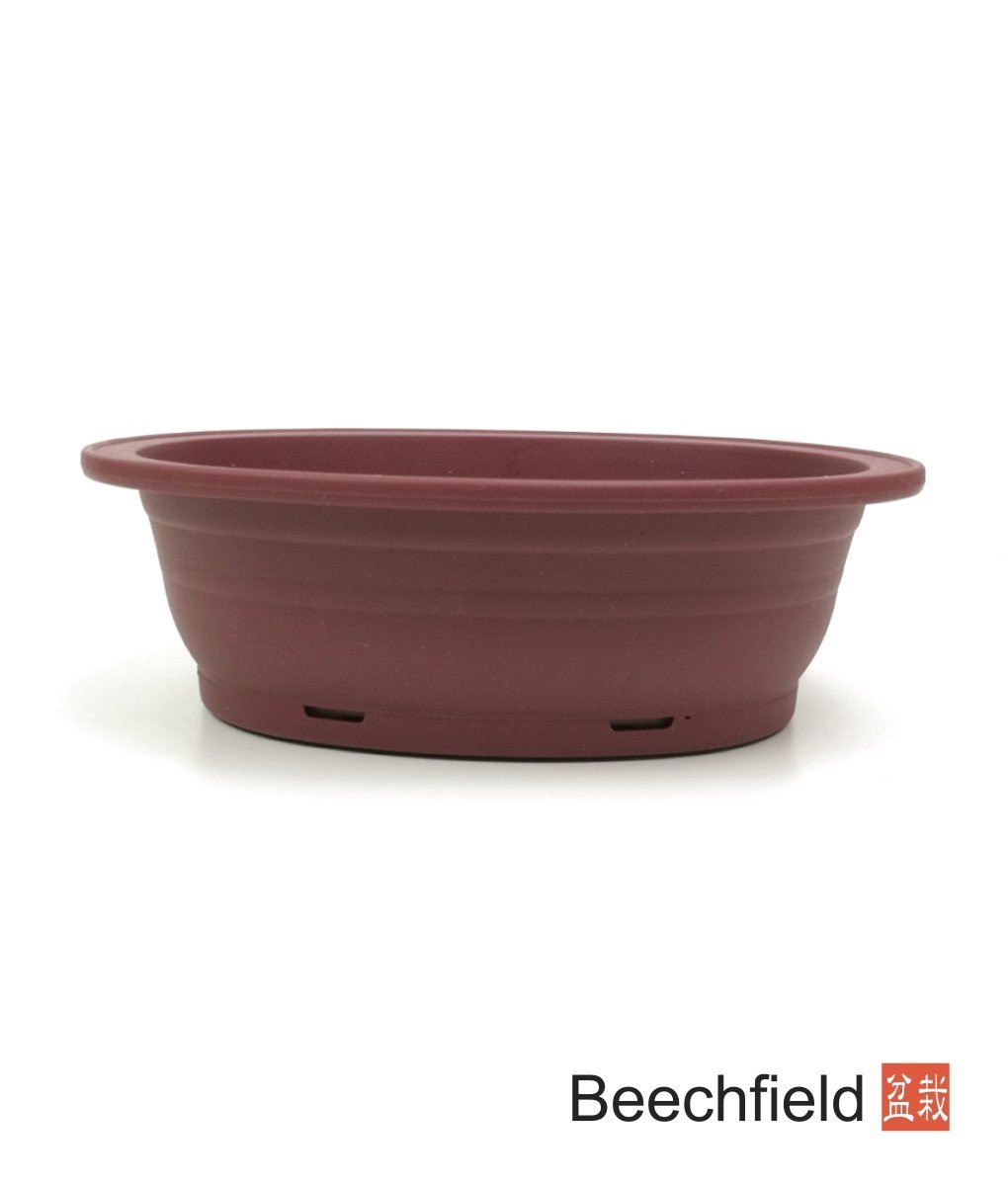 XLP004 Plastic Oval Shaped Bonsai Training Pot 220mm Beechfield Bonsai