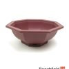 XLP005 Plastic Octagonal Shaped Bonsai Training Pot 195mm Beechfield Bonsai