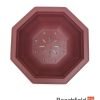XLP005 Plastic Octagonal Shaped Bonsai Training Pot 195mm Beechfield Bonsai