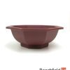 XLP005 Plastic Octagonal Shaped Bonsai Training Pot 195mm Beechfield Bonsai
