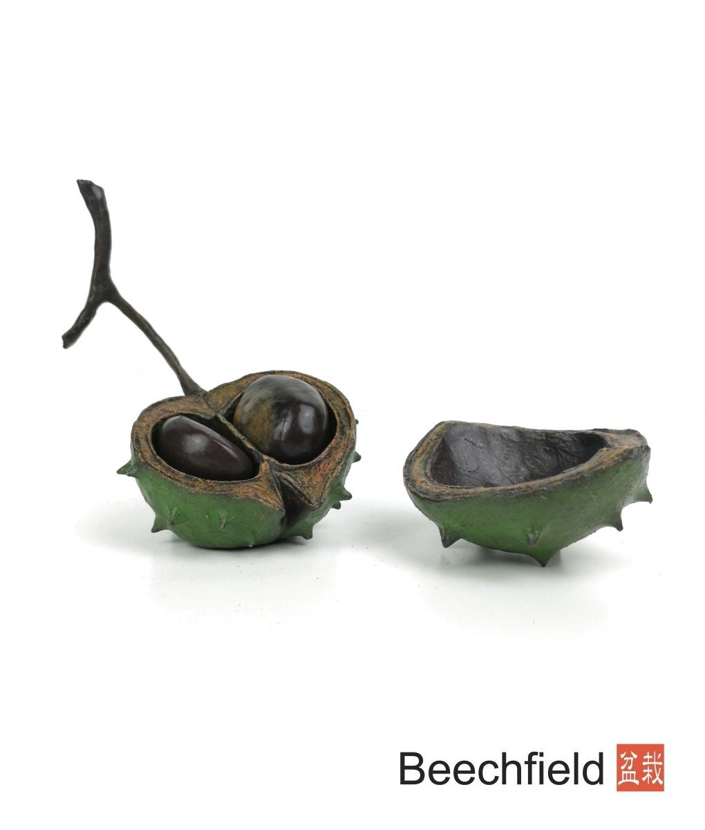 1033 Large Conker Bronze Figurine Figure Miniature Collectable Limited Beechfield Bonsai