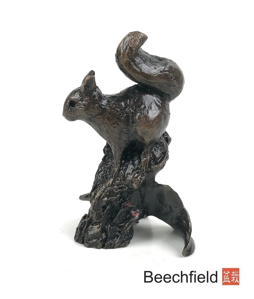 2054 Red Squirrel Bronze Figurine Figure Miniature Butler Peach Beechfield Bonsai