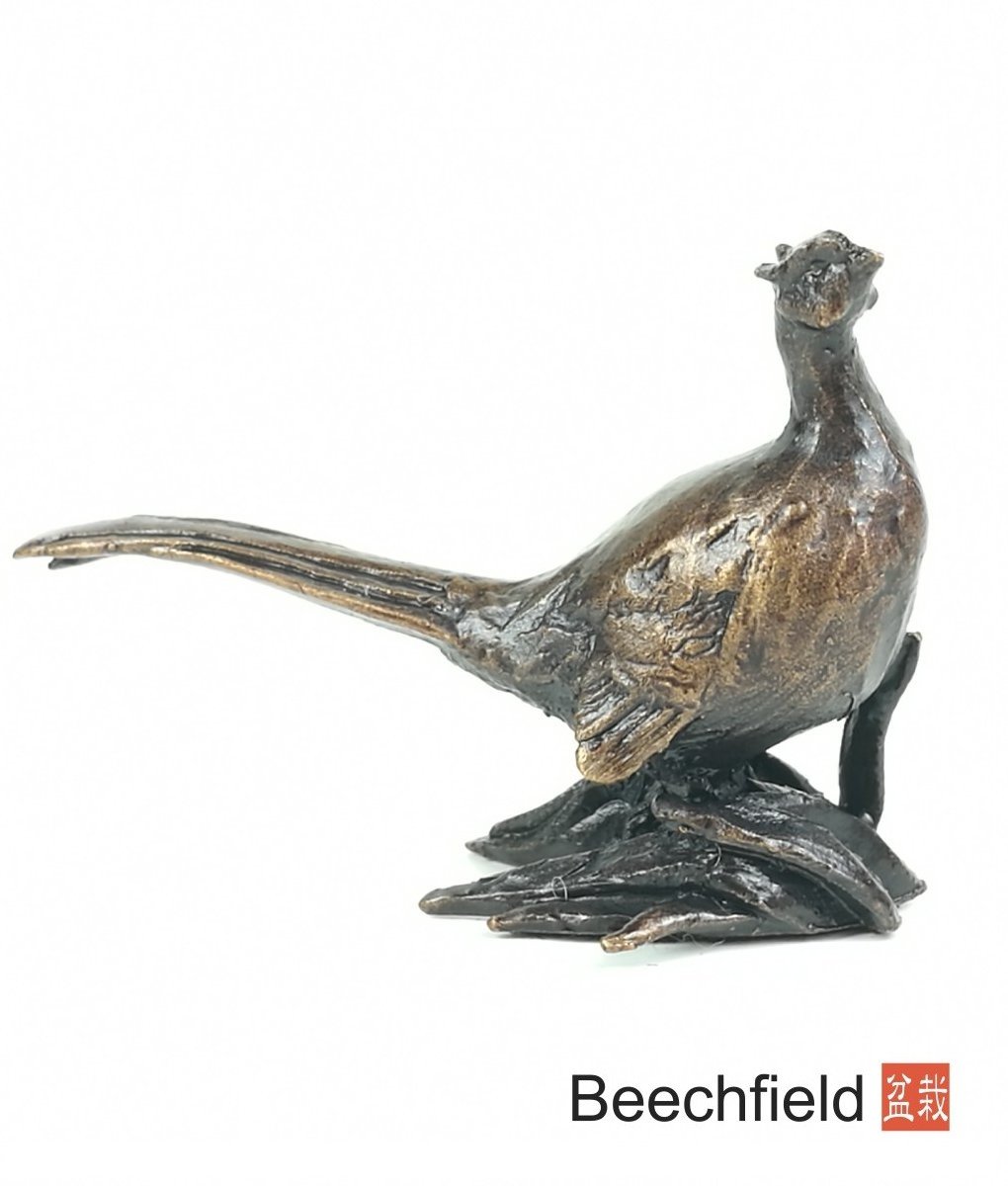 2076 Pheasant Bronze Figure Figurine Miniature Butler Peach Beechfield Bonsai