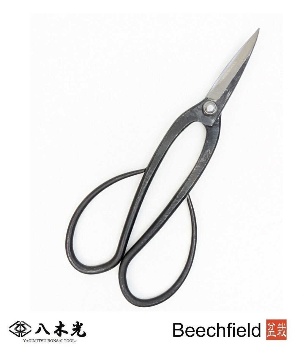 BBTYQ4 Yagimitsu Black Carbon Left Handed General Scissors 200mm Beechfield Bonsai