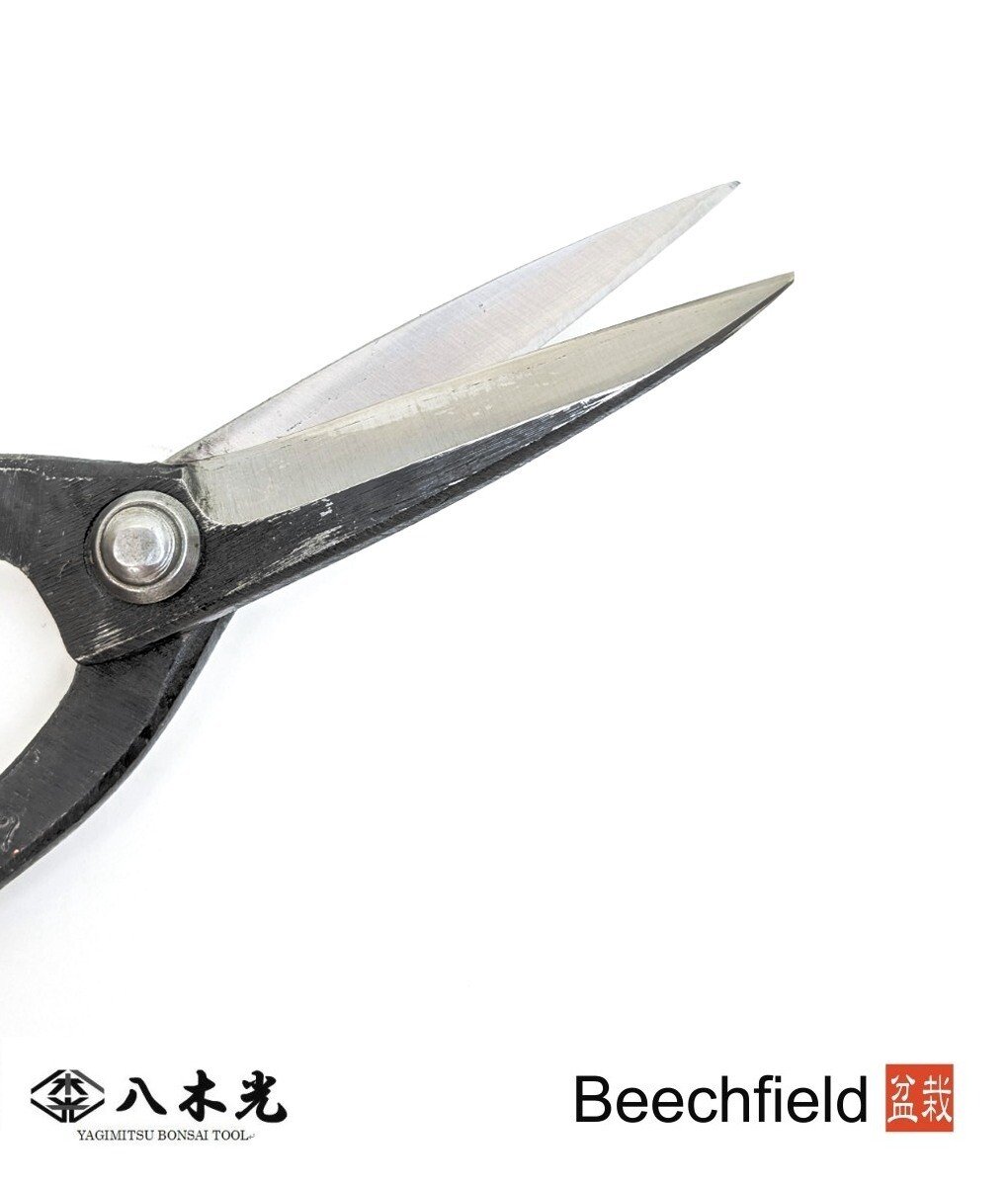 BBTYQ4 Yagimitsu Black Carbon Left Handed General Scissors 200mm Beechfield Bonsai