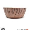 BB-PROGERS-U009 Paul Rogers Unglazed Round Crackle Pot Beechfield Bonsai
