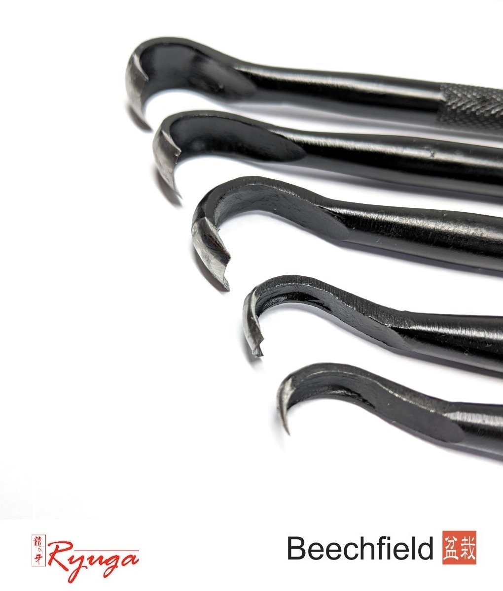 BBTR-CT-A Ryuga Bonsai Carving Tool Set 5 Piece 190mm Beechfield Bonsai