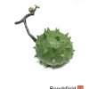 1089 Large Conker Bronze Figurine Figure Miniature Collectable Limited Beechfield Bonsai
