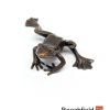 2043 Frog Bronze Figure Figurine Miniature Butler Peach Beechfield Bonsai