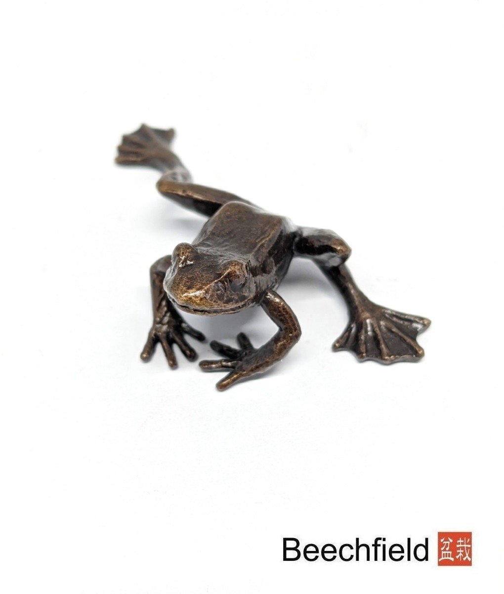 2043 Frog Bronze Figure Figurine Miniature Butler Peach Beechfield Bonsai