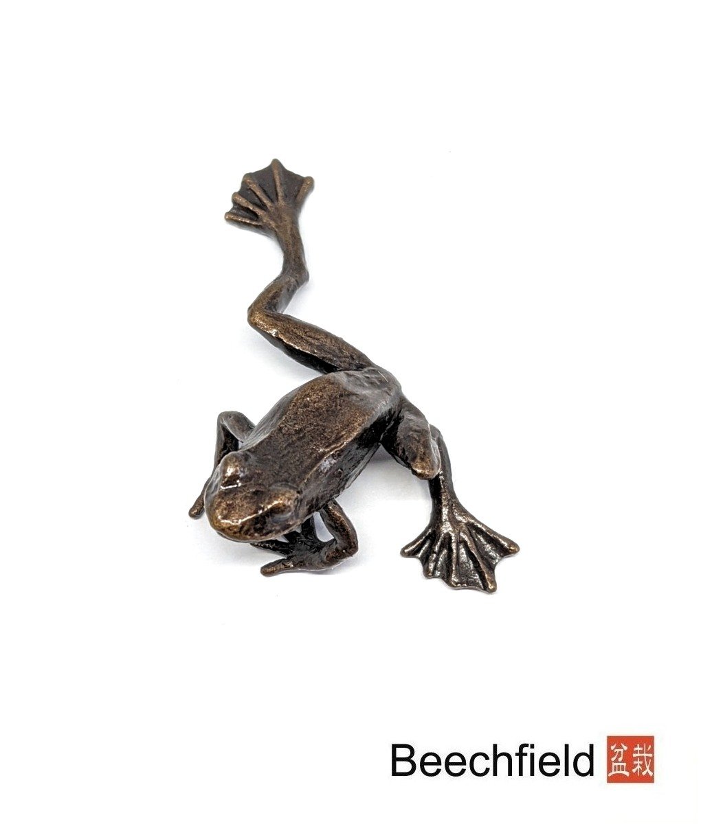 2043 Frog Bronze Figure Figurine Miniature Butler Peach Beechfield Bonsai