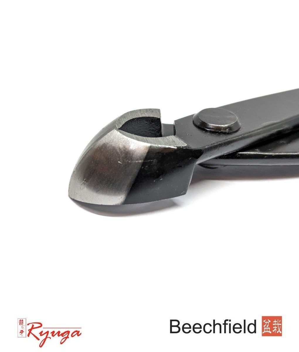BBRC13 Ryuga 180mm Bonsai Rounded Branch Cutters Black Carbon Beechfield Bonsai