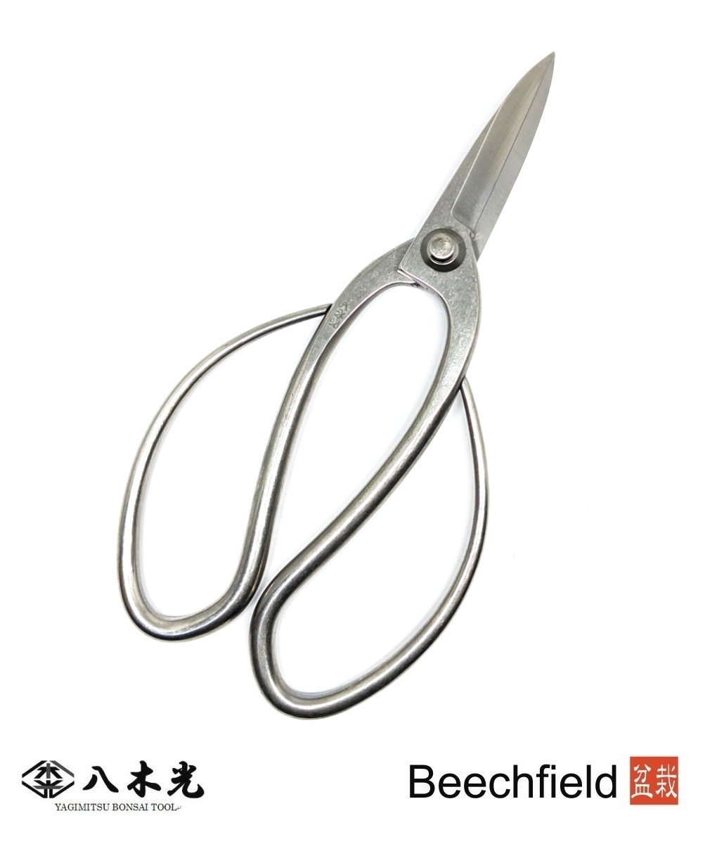BBTYG5 Yagimitsu Stainless Steel Root Scissors 180mm Beechfield Bonsai