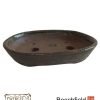 Erin Bonsai Pot 195mm Oval Beechfield Bonsai