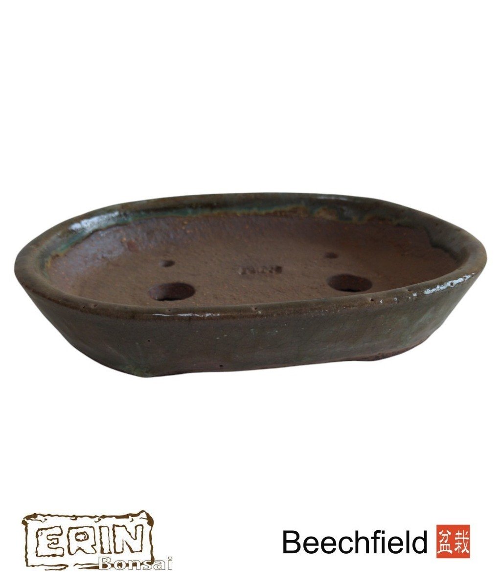 Erin Bonsai Pot 195mm Oval Beechfield Bonsai