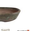 Erin Bonsai Pot 195mm Oval Beechfield Bonsai