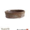 Erin Bonsai Pot 155mm Oval Beechfield Bonsai
