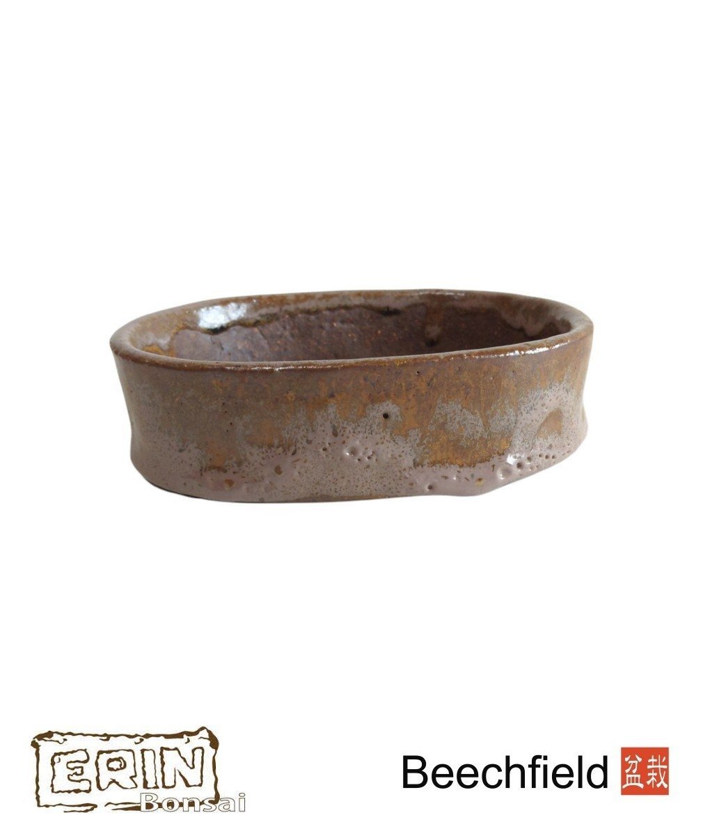 Erin Bonsai Pot 155mm Oval Beechfield Bonsai