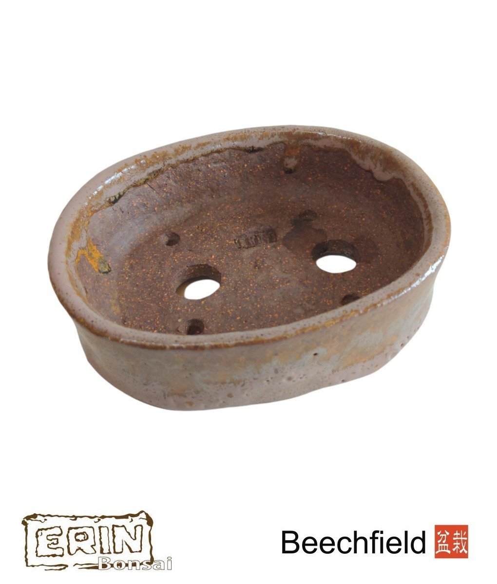 Erin Bonsai Pot 155mm Oval Beechfield Bonsai