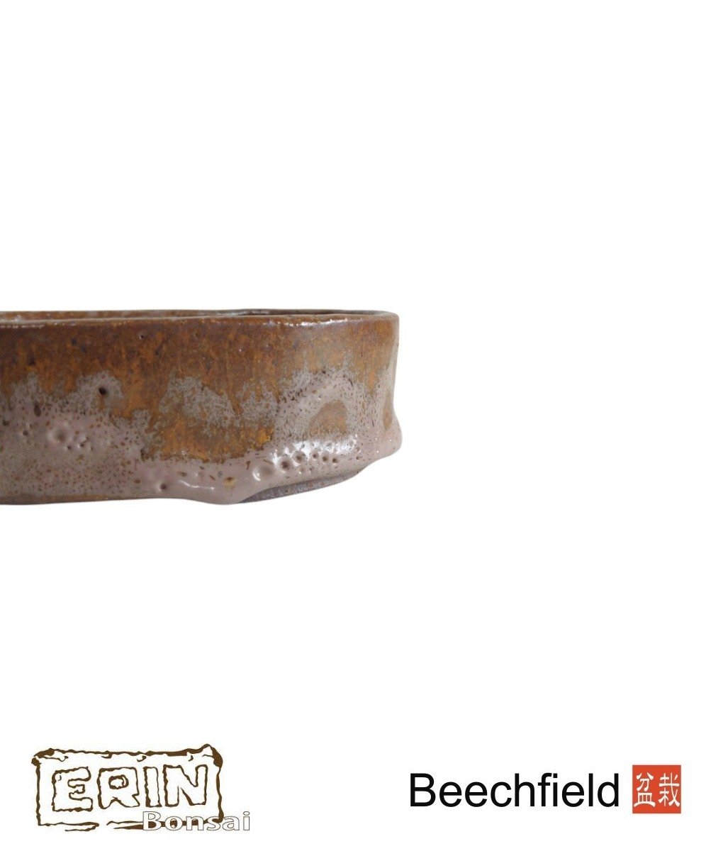 Erin Bonsai Pot 155mm Oval Beechfield Bonsai