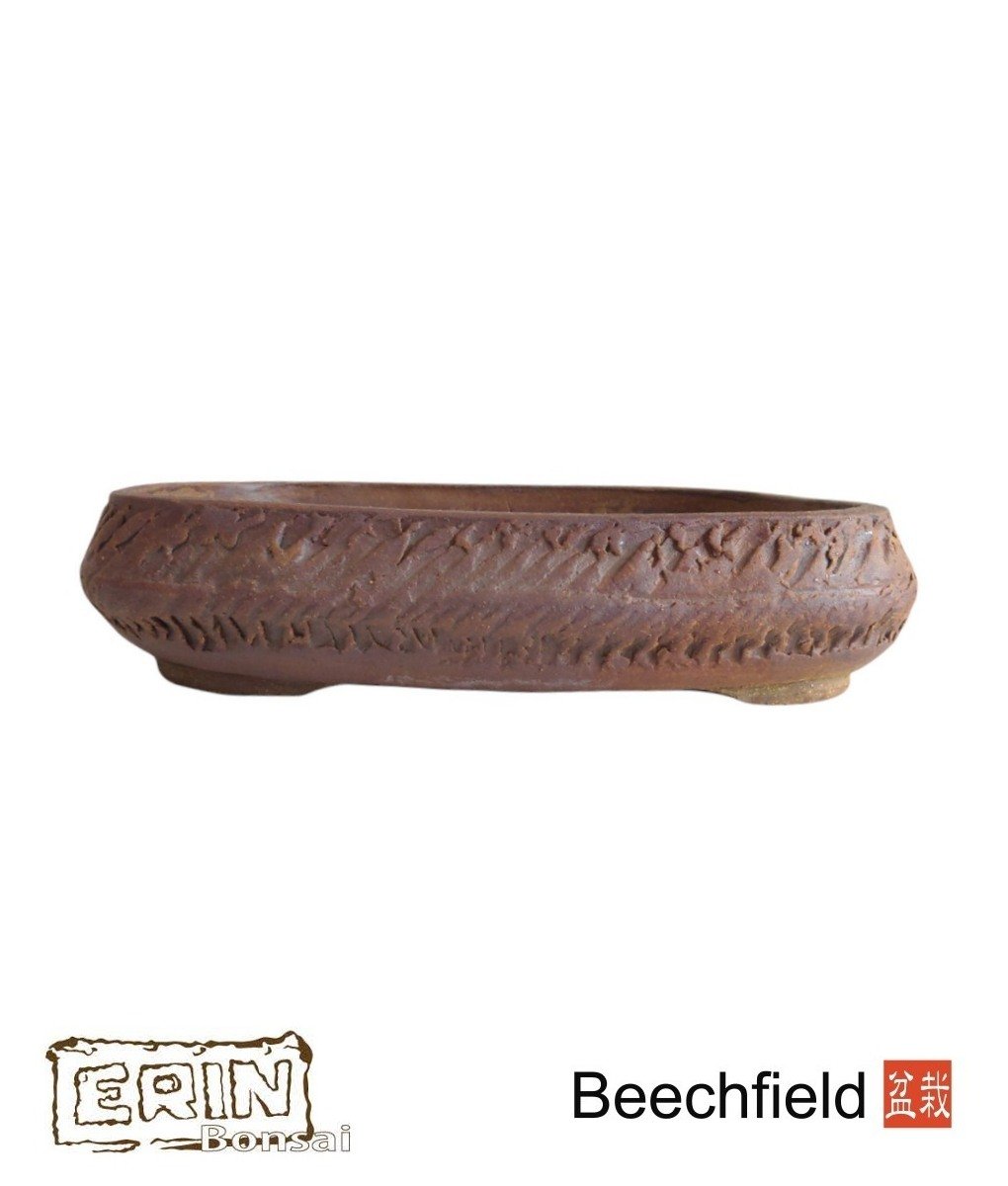 Erin Bonsai Pot 340mm Rounded Rectangle Beechfield Bonsai