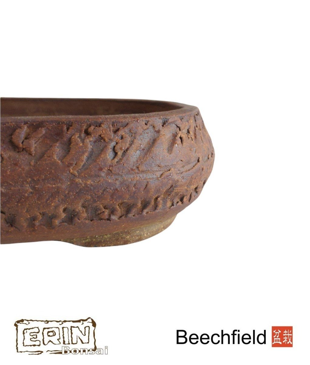 Erin Bonsai Pot 340mm Rounded Rectangle Beechfield Bonsai