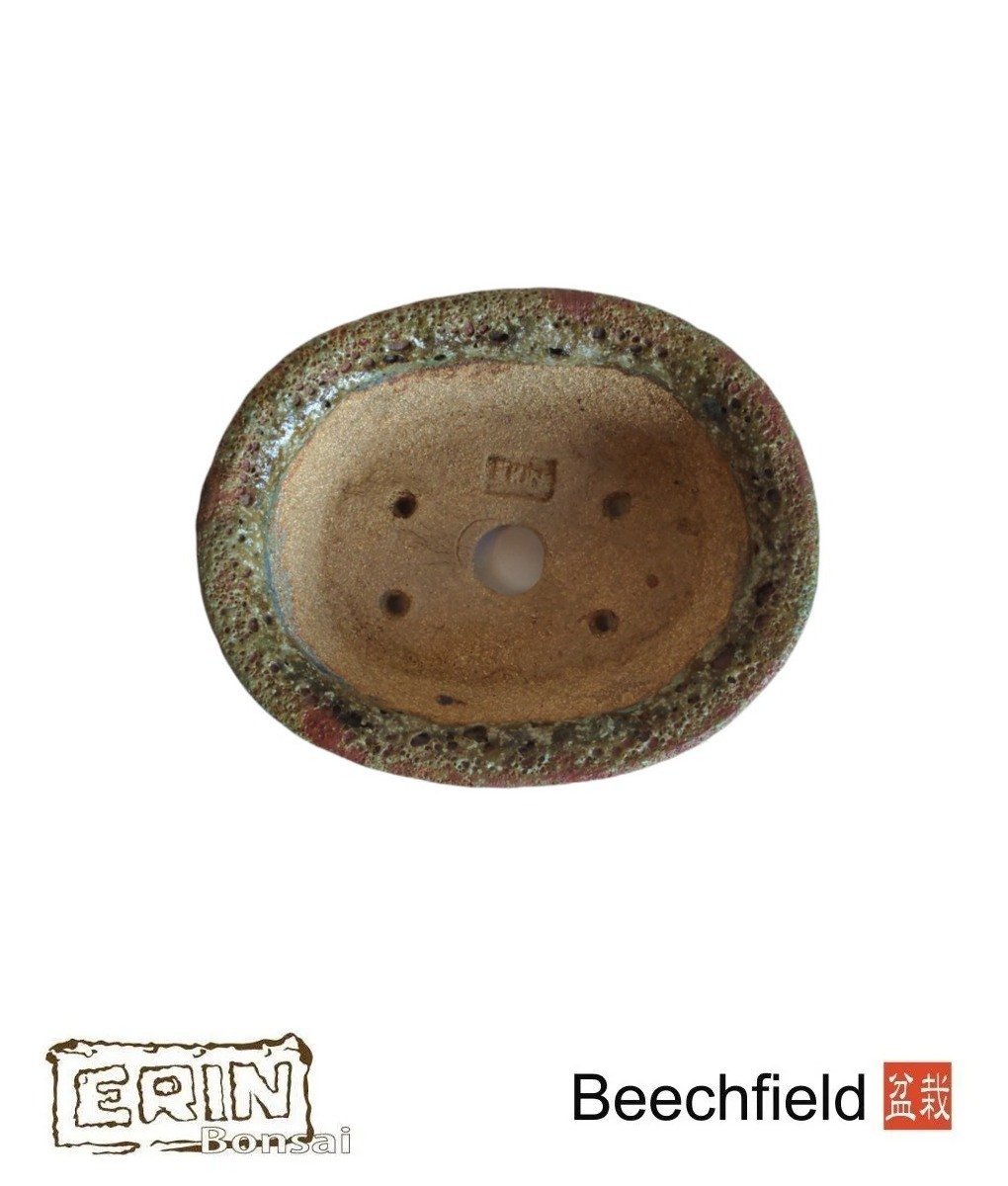 BB-ERIN-006 Erin 158mm Blue Oval Bonsai Pot Beechfield Bonsai