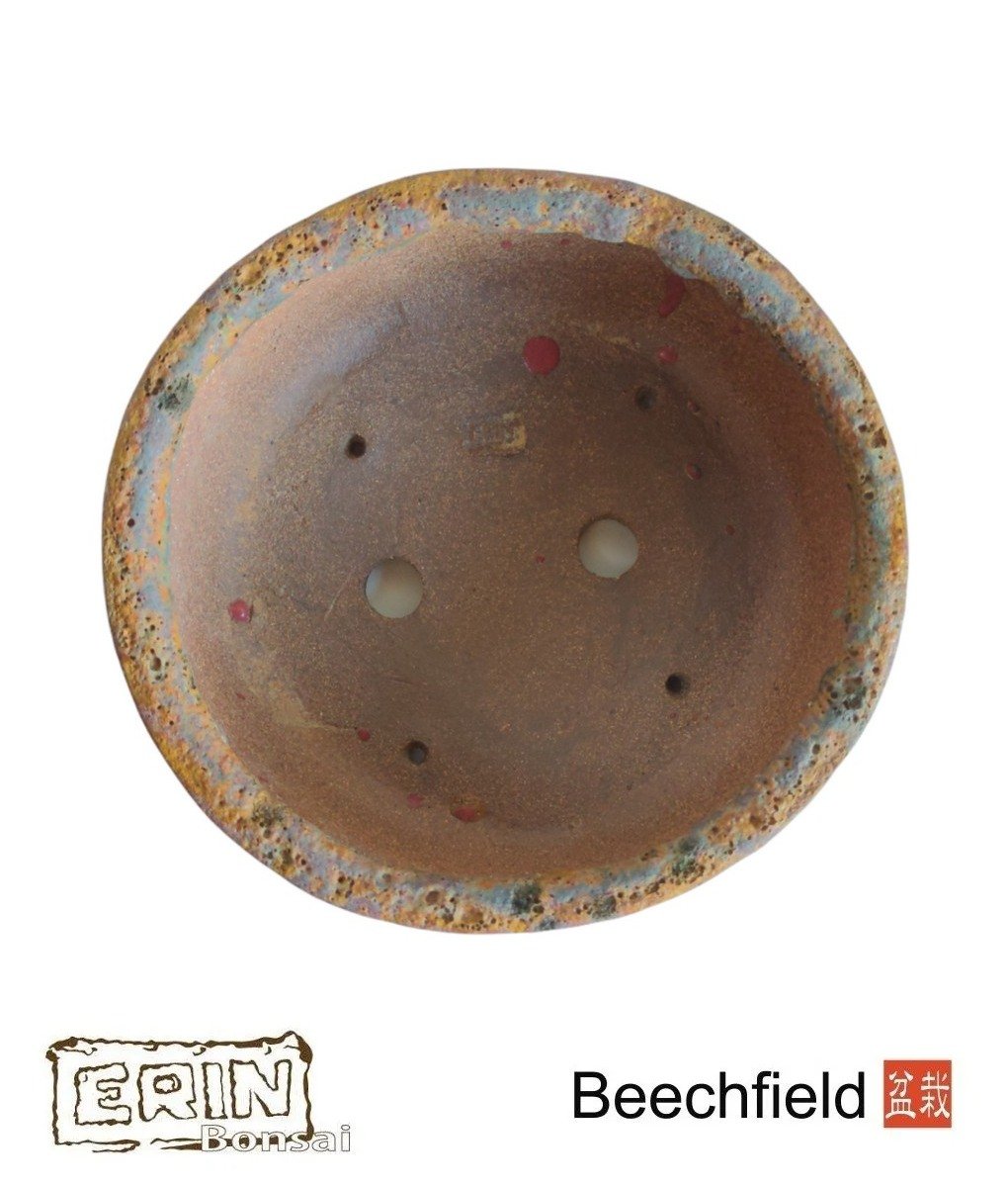 BB-ERIN-008 Erin 220mm Irregular Round Bonsai Pot Beechfield Bonsai