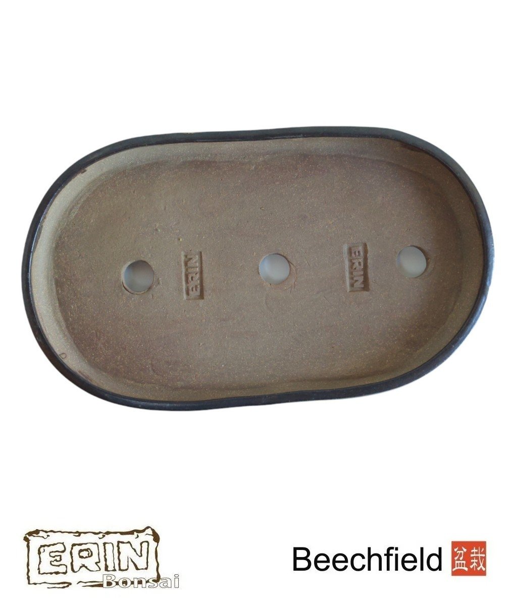 BB-ERIN-009 Erin 450m Oval Bonsai Pot Beechfield Bonsai