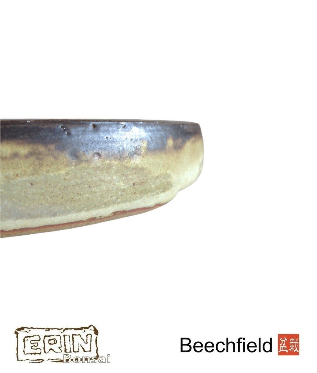 BB-ERIN-009 Erin 450m Oval Bonsai Pot Beechfield Bonsai