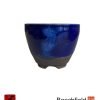 BB-SMONKEY-002 Stone Monkey 90mm Pot Blue Beechfield Bonsai