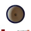 BB-SMONKEY-002 Stone Monkey 90mm Pot Blue Beechfield Bonsai