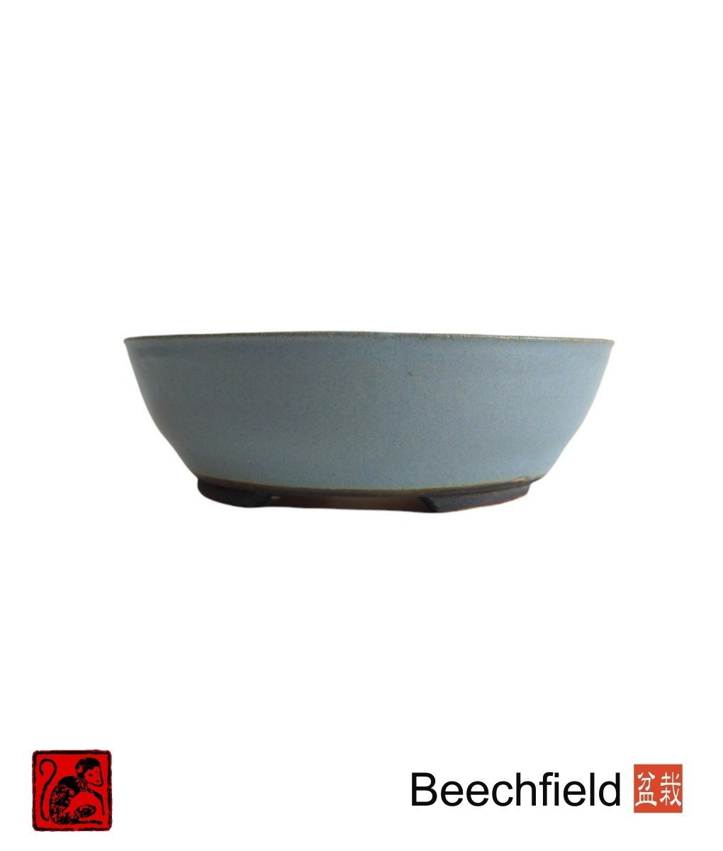 BB-SMONKEY-004 Stone Monkey 215mm Pot Blue Beechfield Bonsai